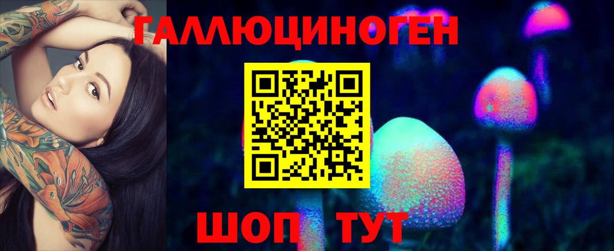 как найти закладки  Галлюциногенные грибы GOLDEN TEACHER  Вход с VPN  Ейск 
