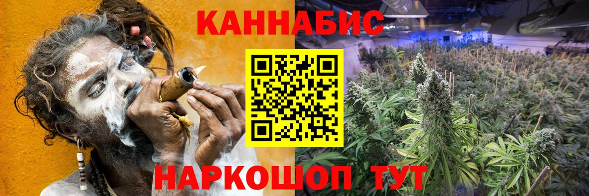 Бошки Шишки VHQ  Марихуана планчик  МАРИХУАНА ГИДРОПОН  Ейск  Вход с VPN 